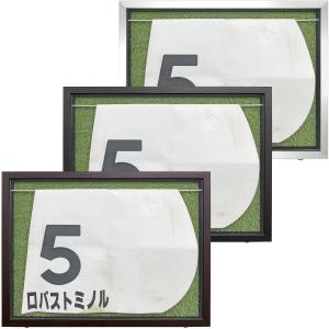 競馬ゼッケン専用額 シェリール・吊り下げ棒付 UVカット強化型