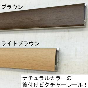 後付ピクチャーレール専用 ボール式ミニワイヤー...の詳細画像1