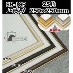 草木 25角 250×250mm 水彩額 水彩額縁 デッサン額 デッサン額縁 正方形
