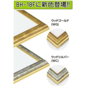 BH-18F 30×60 (300×600mm...の詳細画像5