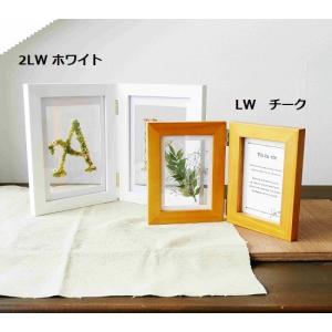 フロッテ【LW】 標本風フレーム : 城下町の額縁屋-額のまつえだ - 通販