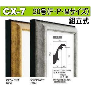 C-20 オリジン 30号(F・P・M)用 キャンバス用 組立式 アルフレーム 仮