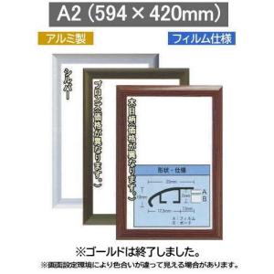フラッパ 【ブロンズ】 A2(594×420mm) ポスターフレーム アルミ製｜gakubutiya