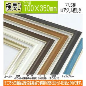 HVM 509×394mm 大衣(タイコロ) 水彩額 水彩額縁 デッサン額 デッサン