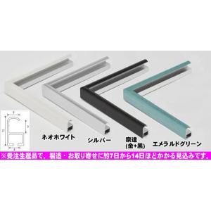 クーベ A5 (210×148mm) 水彩額 デッサン額縁 OA額 アルミ製 受注生産品｜gakubutiya