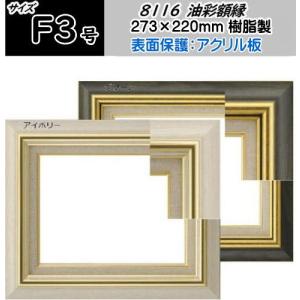 8116 F10号 (530×455mm) アクリル板付 油絵額縁 油彩額縁 油絵額 油彩