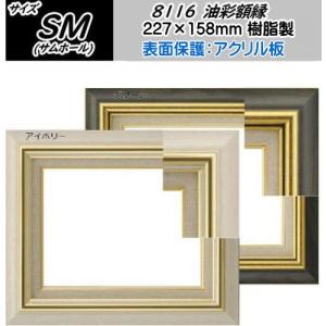 8116 F10号 (530×455mm) アクリル板付 油絵額縁 油彩額縁 油絵額 油彩