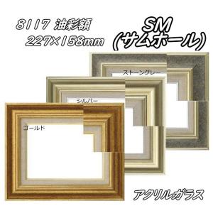 9631 SM(サムホール) (227×158mm) シルバー 油彩用額縁 樹脂製
