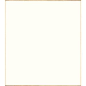 大色紙 白鳥の子紙 10枚入 谷口松雄堂製 京都