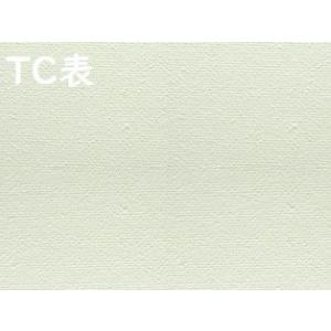 TC 張りキャンバス F3号 30枚セット (273×220mm) 桐木枠 綿化繊 綿化繊混【代引不可・同梱不可】 VIC｜gakubutiya