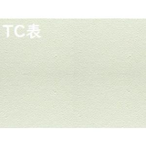 TC 張りキャンバス F3号 60枚セット (273×220mm) 桐木枠 綿化繊 綿化繊混【代引不可・同梱不可】 VIC｜gakubutiya
