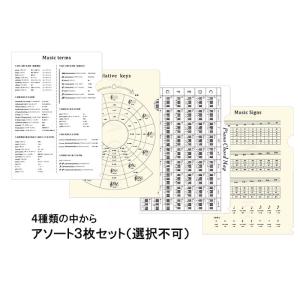 クリアファイル アソート A4サイズ (3枚入り 【限定品】)の商品画像