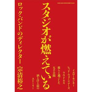スタジオが燃えている ロック・バンドのディレクター(65316)