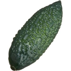 フルーツシェーカー【ニガウリ】