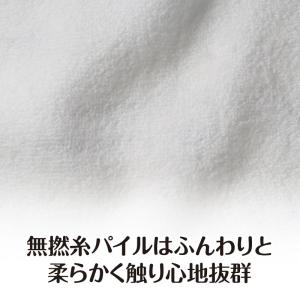 【取寄品】【取寄時、納期1週間〜10日】Pia...の詳細画像2