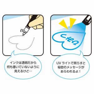【取寄品】【取寄時、納期1週間〜10日】Pia...の詳細画像1