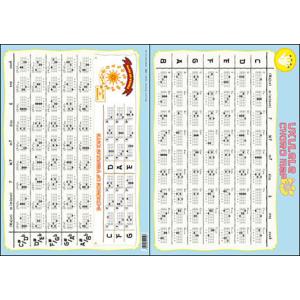 【取寄品】【取寄時、納期1〜2週間】ＰＲＫＯ−１　ウクレレコードファイル