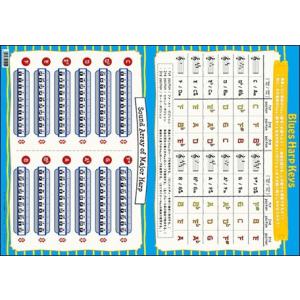 【取寄品】【取寄時、納期1〜2週間】ＰＲＫＯ−４　ブルースハープＫｅｙ対応ファイル