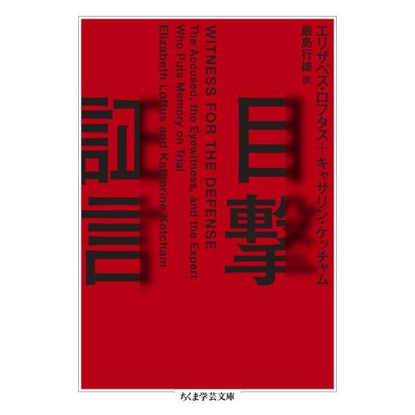 【取寄品】【取寄時、納期1〜3週間】目撃証言