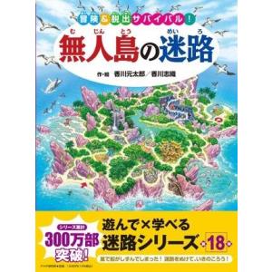 【取寄品】【取寄時、納期1〜3週間】無人島の迷路