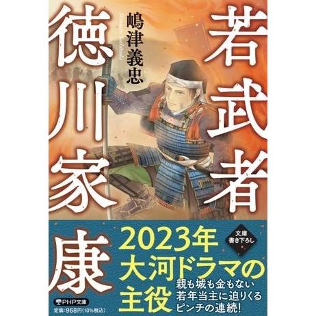 【取寄品】【取寄時、納期1〜3週間】若武者　徳川家康【ネコポス不可・宅配便のみ可】