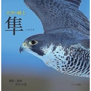 【取寄品】【取寄時、納期10日〜2週間】天空の戦士隼