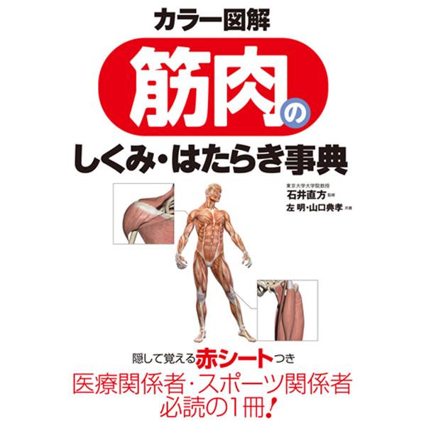 【取寄品】【取寄時、納期1〜2週間】カラー図解　筋肉のしくみ・はたらき事典