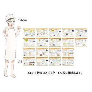Gakupo お風呂でおぼえる学習ポスター 中...の詳細画像5