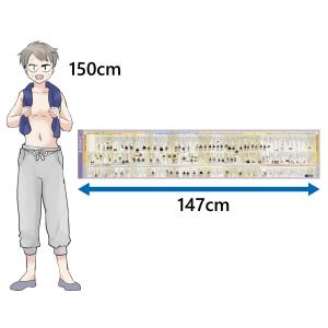 Gakupo お風呂でおぼえる学習ポスター 日...の詳細画像2