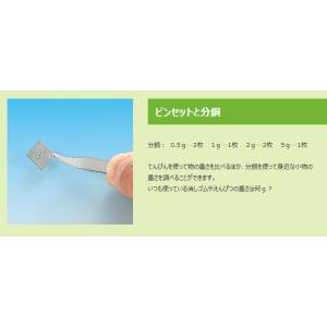 物と重さ基本材料B型(てんびん作り) 理科 科...の詳細画像2