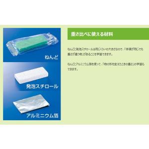 物と重さ基本材料B型(てんびん作り) 理科 科...の詳細画像3