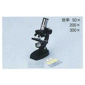 血液循環系模型 透視式 : 学林舎 - 通販 - Yahoo!ショッピング