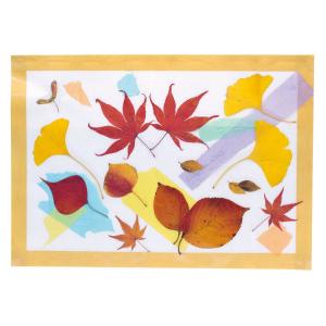 あつめて、ならべて、いいかんじ 秋の　低学年　落ち葉をあつめて　　