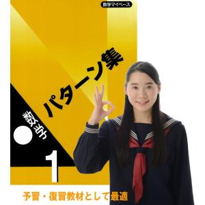 中学１年生　数学パターン集　／中学 数学 予習 復習
