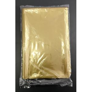 血液循環系模型 透視式 : 学林舎 - 通販 - Yahoo!ショッピング