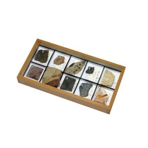 石油・石炭標本 5種組 : 学林舎 - 通販 - Yahoo!ショッピング