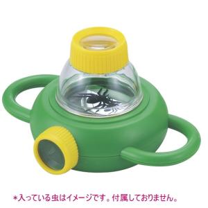 生物プレパラート：植物組織 10種（ケース入） : 学林舎 - 通販