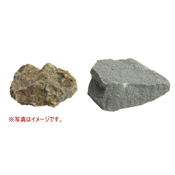 標本用岩石 たい積岩 れき岩