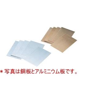 金属板 10枚入 鉄板 5070101 (t01) 大和科学教材研究所 実験用 科学