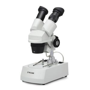 血液循環系模型 (透視式)♡ 血液循環系模型 透視式 : 学林舎 - 通販 - Yahoo!ショッピング