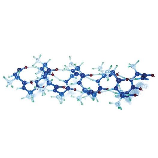 分子構造模型 モルタロウ（タンパク質セットII αヘリックス）