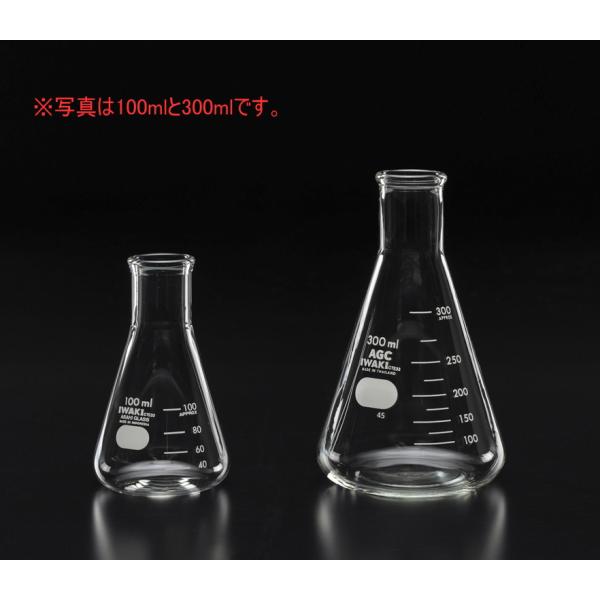 三角フラスコ IWAKI 500ml