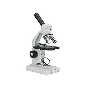 血液循環系模型 (透視式)♡ 血液循環系模型 (透視式)♡ 血液循環系模型 透視式 : 学林舎 - 通販