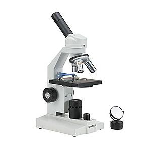 血管系模型 血液循環系模型 1/2倍大モデル : 学林舎 - 通販 - Yahoo