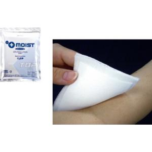 プラスモイストTOP　20枚入