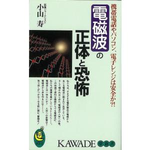 電磁波の正体と恐怖-KAWADE夢新書
