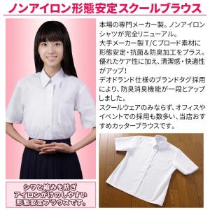 スクールシャツ 女子 半袖 2枚セット 形態安...の詳細画像2