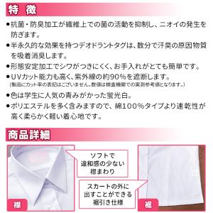 スクールシャツ 女子 半袖 2枚セット 形態安...の詳細画像3