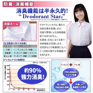 スクールシャツ 女子 半袖 2枚セット 形態安...の詳細画像4