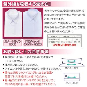 スクールシャツ 女子 半袖 2枚セット 形態安...の詳細画像5